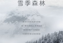 佰麗愛(ài)家全屋定制新品 | <克諾斯邦> 邂逅 · 雪季森林